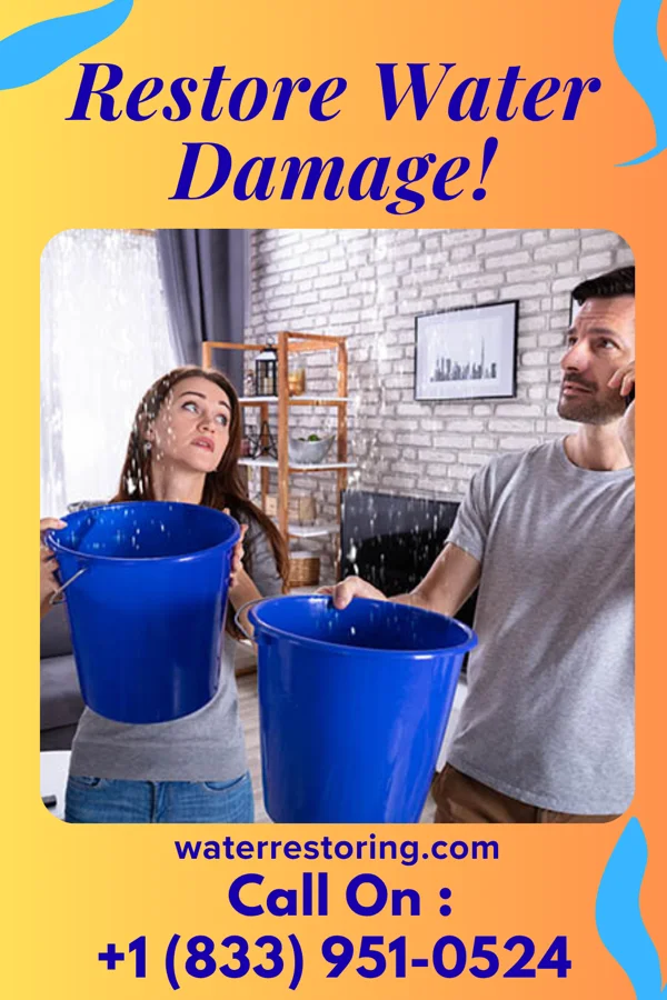 water restoration Titan Water Mitigation Company Ruth