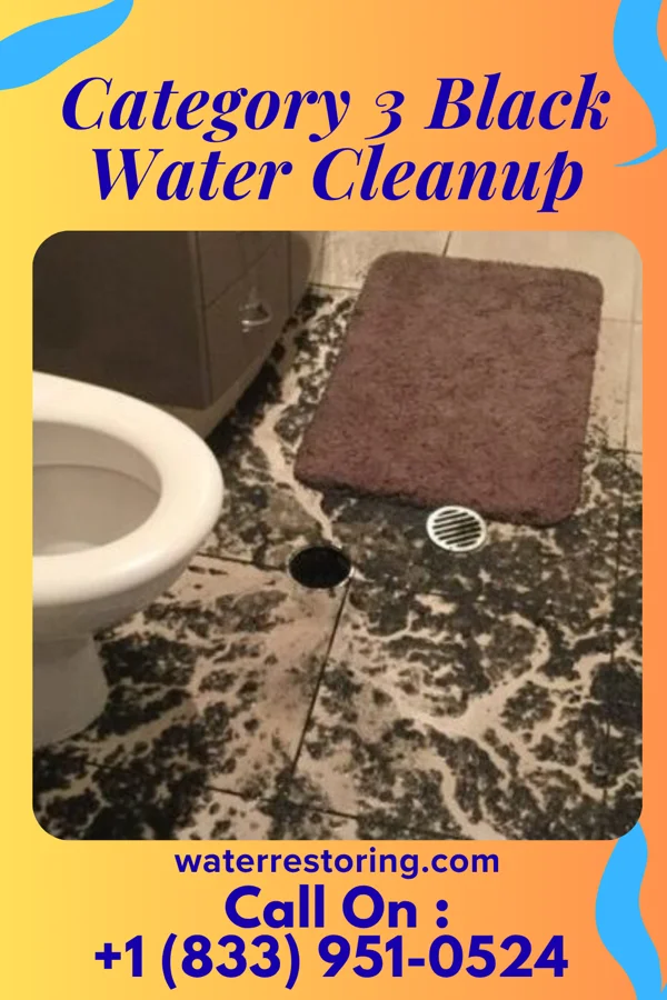 Category 3 Black Water Cleanup in Ruth, NC