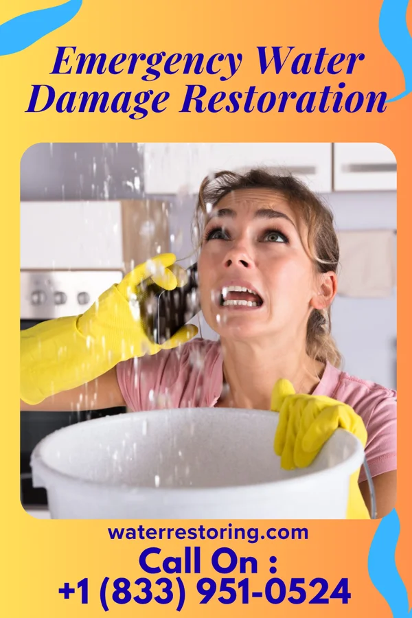 Emergency Water Damage Restoration in Ruth, NC