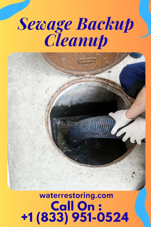 Sewage Backup Cleanup in Ruth, NC